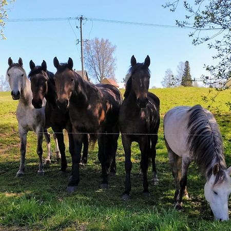 Eha Farmstay Rõuge エクステリア 写真