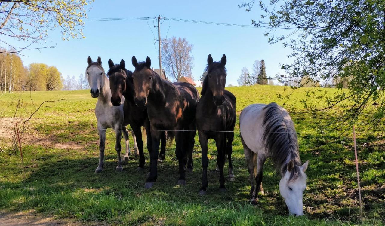 Eha Farmstay Rõuge エクステリア 写真
